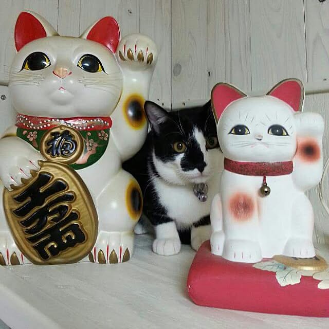 baruさんの実例写真