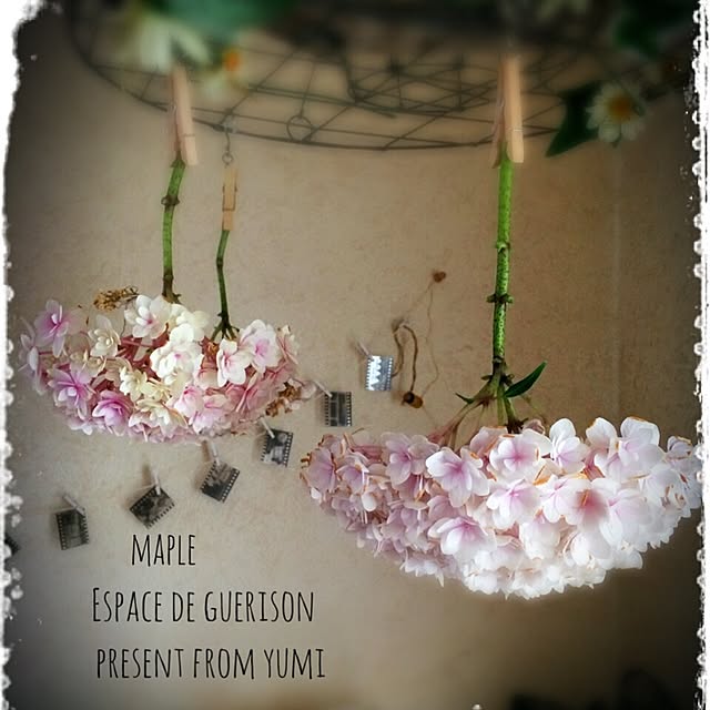 mapleさんの実例写真