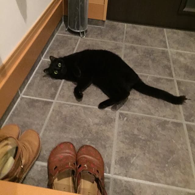 yuki0511さんの実例写真