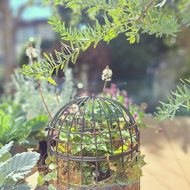 souさんの部屋