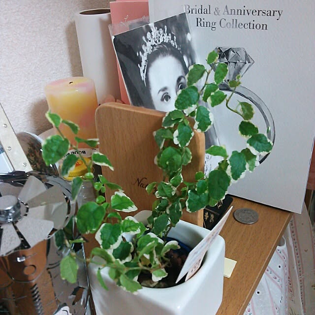 springさんの実例写真