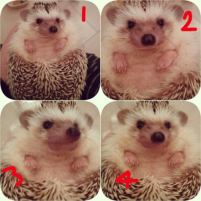 kuruさんの実例写真