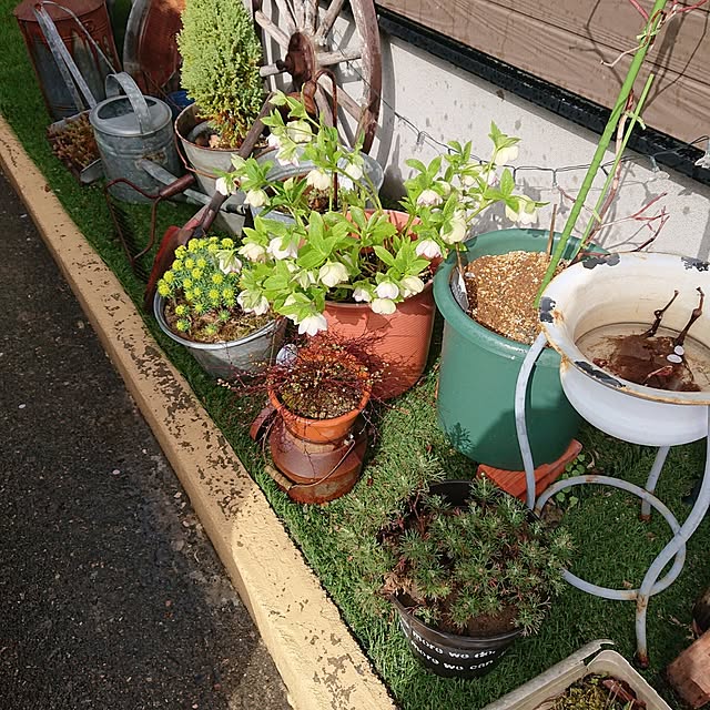 tikuwaさんの実例写真