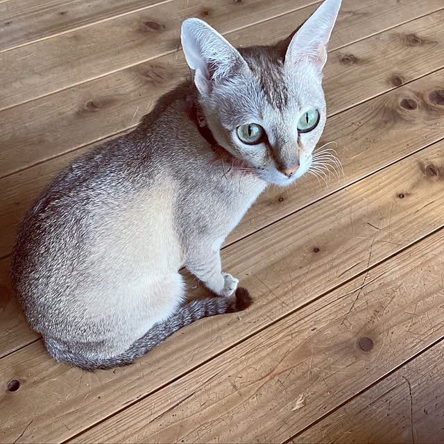 mokurenさんの実例写真