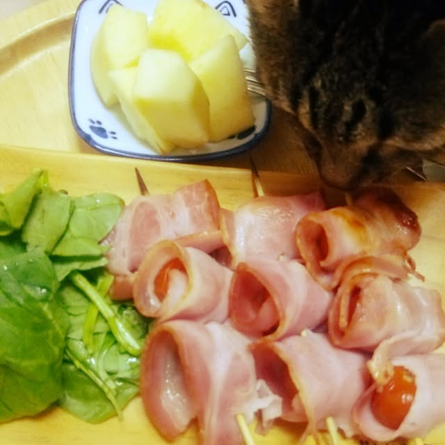 実例写真