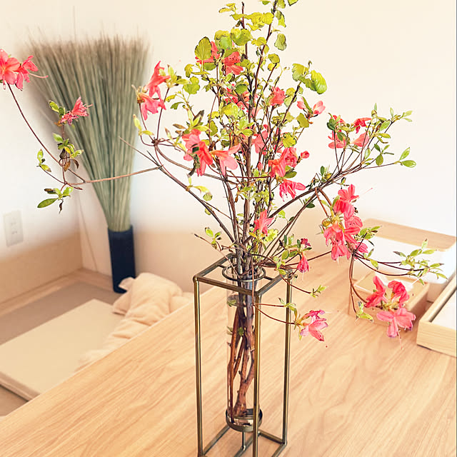 piroaiさんの部屋