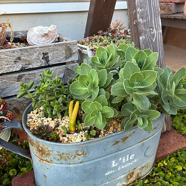 tommさんの実例写真