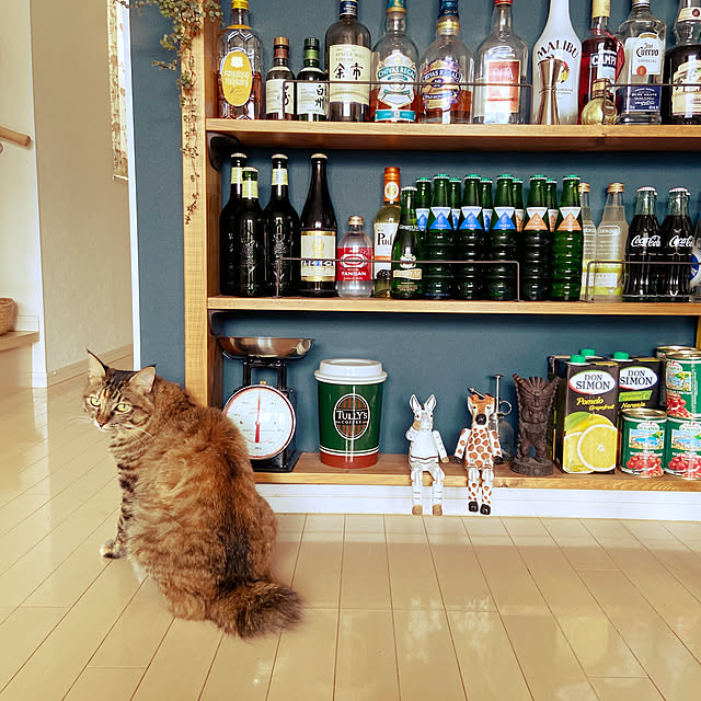 gachaさんの実例写真
