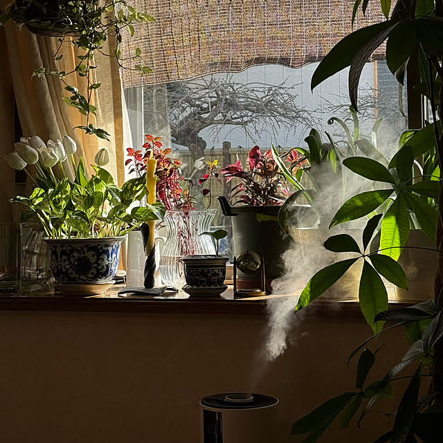 mamizaさんの実例写真