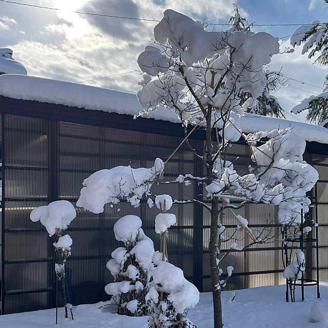 kakoさんの実例写真