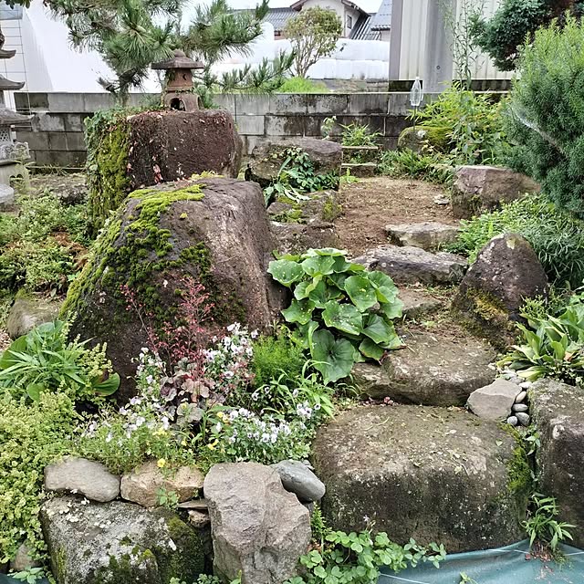 sumimarumiさんの実例写真