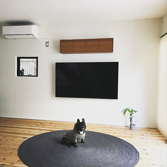 iggytangoさんの実例写真