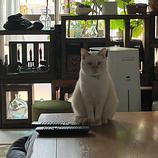mohhaさんの実例写真