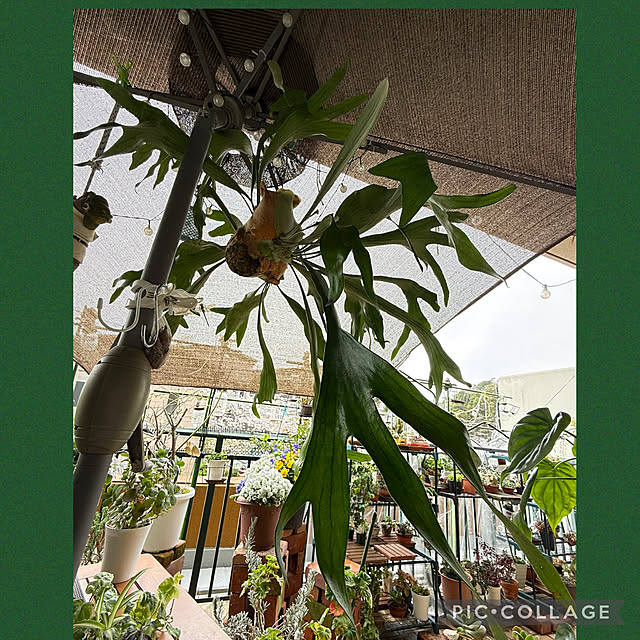 Aqettyさんの部屋