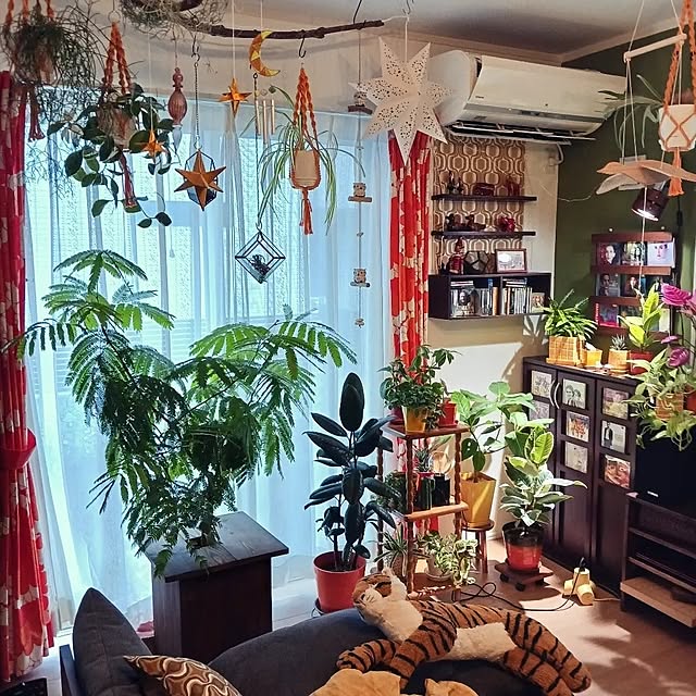 funnyfaceさんの部屋
