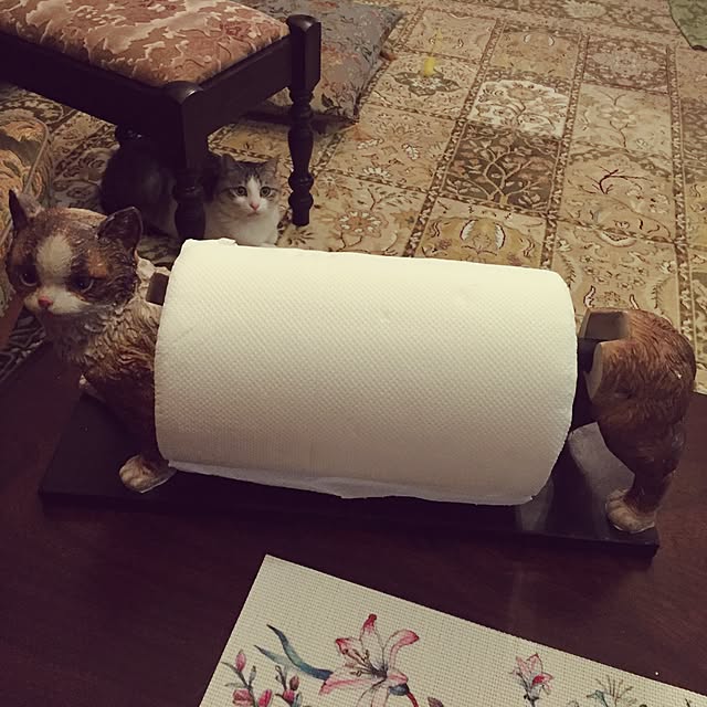 emmyyさんの実例写真