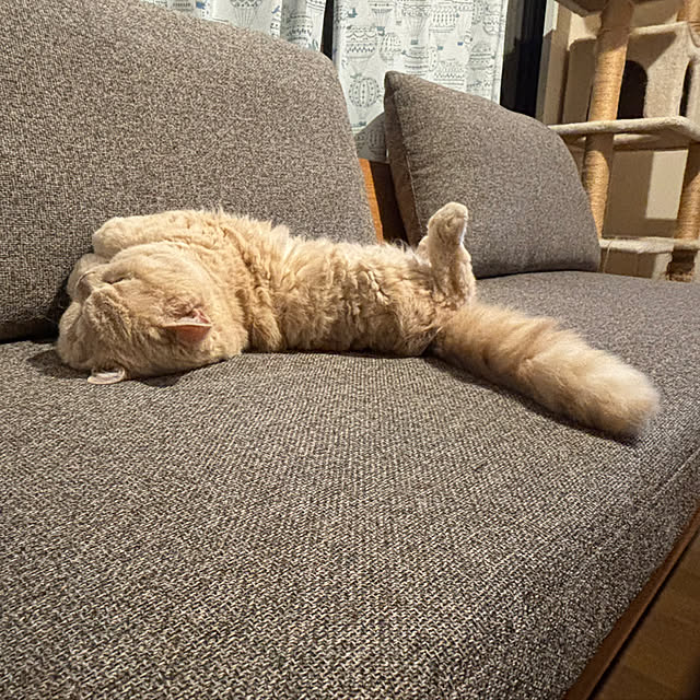 naokoさんの部屋