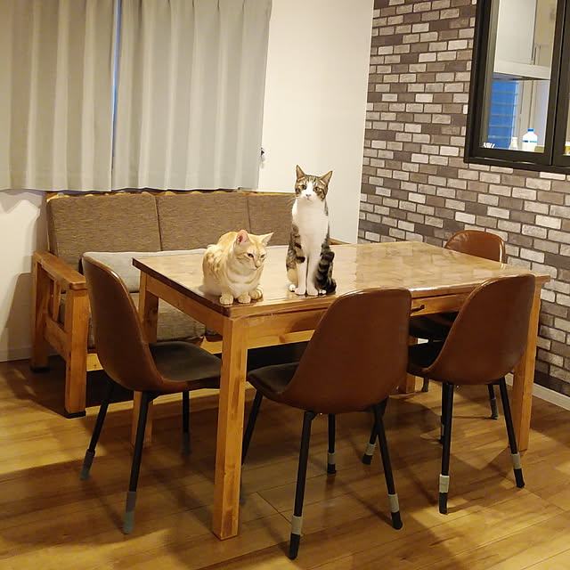 shiiiさんの実例写真