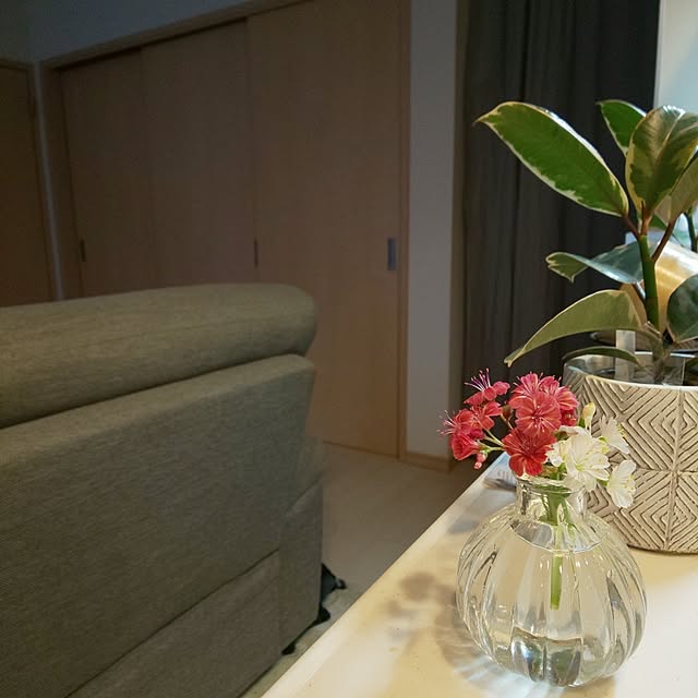 KOHAKUさんの実例写真