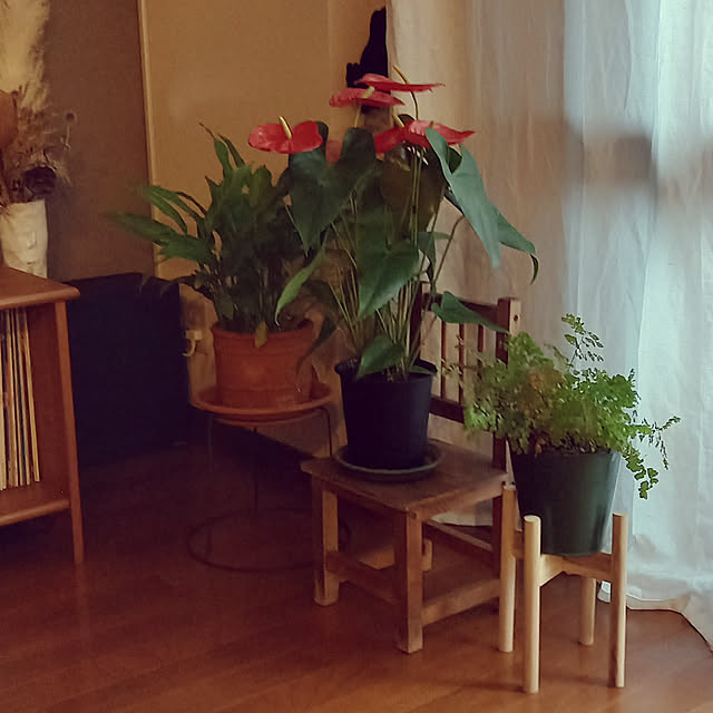 anzmama0404さんの実例写真