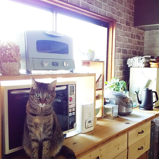 R.chocolate16さんの実例写真
