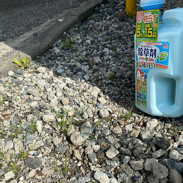 senbei.sakuramochiさんの実例写真