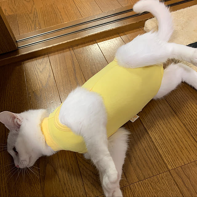 keiさんの実例写真