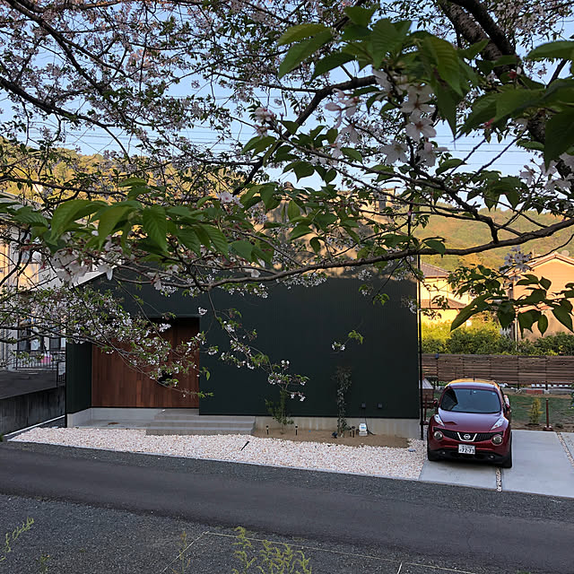 poa.t_hさんの実例写真