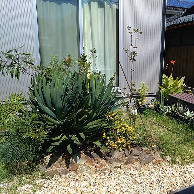 chocococoaさんの部屋