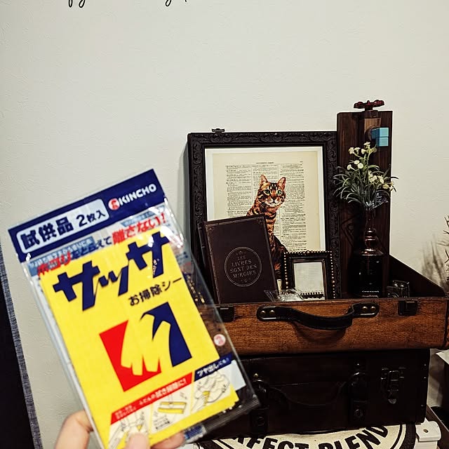 部屋全体/キンチョーサッサ試供品/Salyu！のインテリア実例 - 2024-06-06 06:41:54
