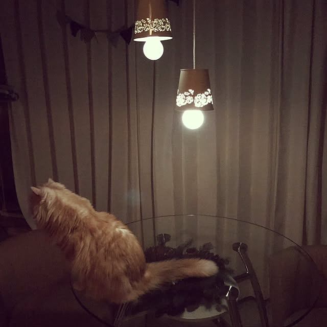 roseさんの実例写真
