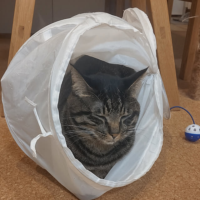 hihaさんの実例写真