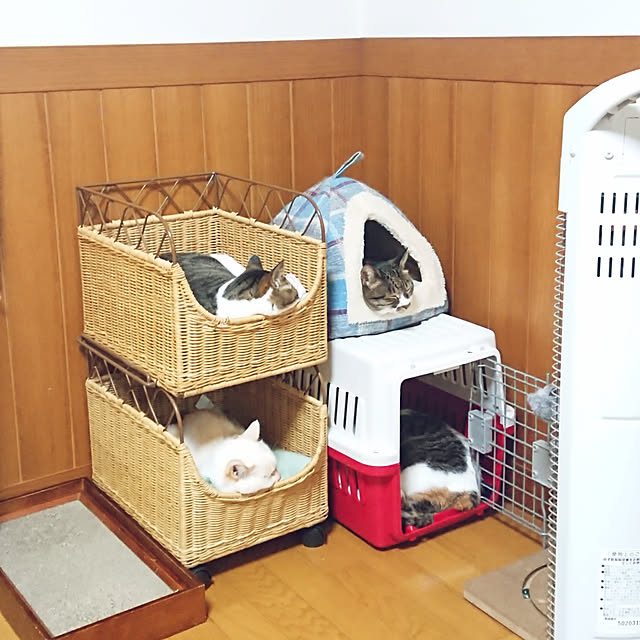 nachiさんの実例写真