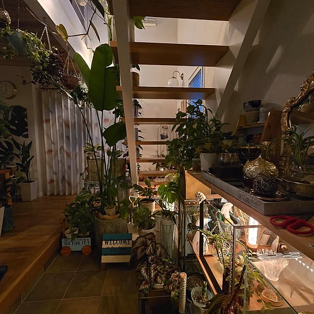 nonbiri_house_さんの部屋