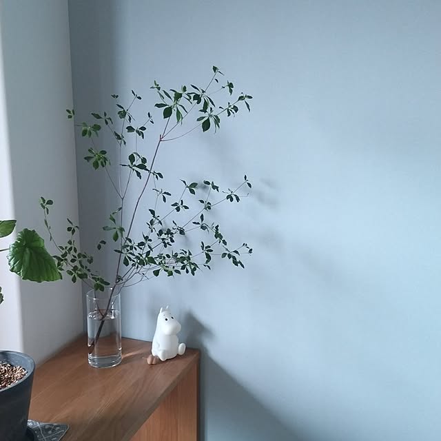 sakiさんの部屋