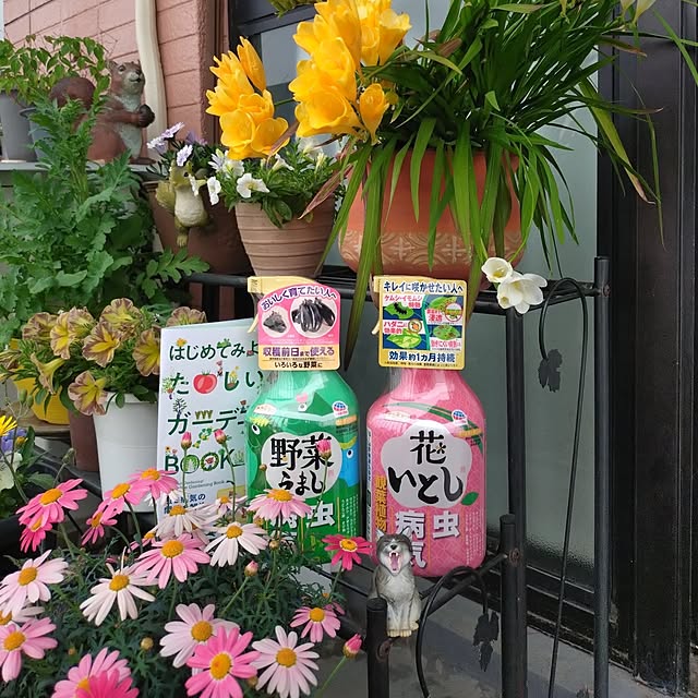 NOAHさんの実例写真