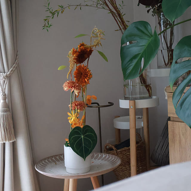 Summerさんの部屋