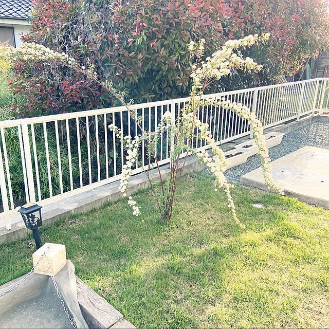 tabinekoさんの実例写真