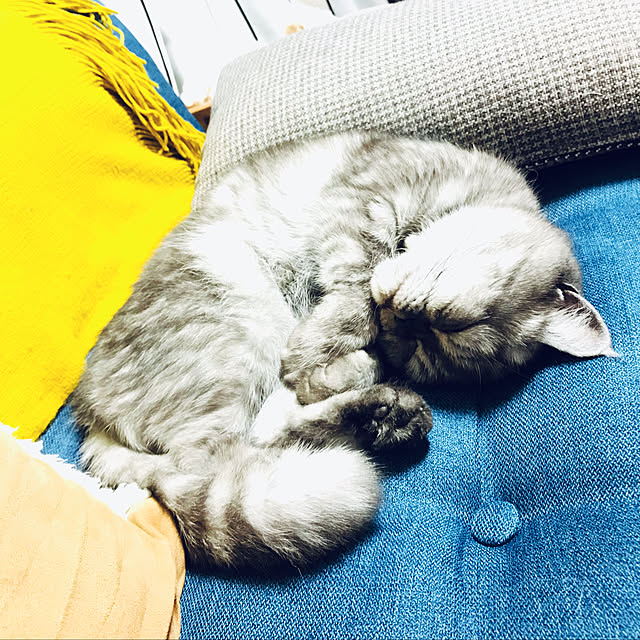 Marinさんの実例写真