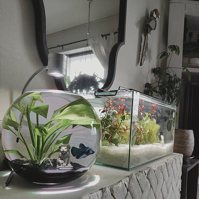 coco.Apartmanさんの実例写真