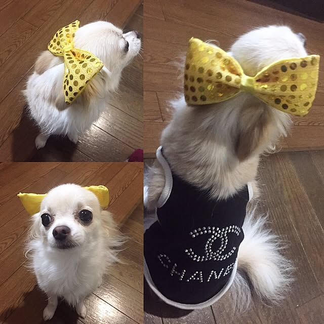 k.n.d.a.h.aさんの実例写真