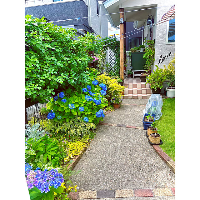 hinamamaさんの部屋