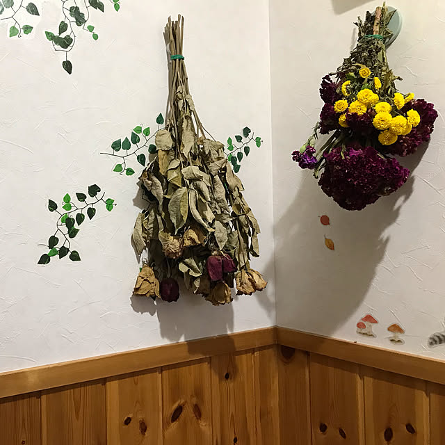 aoinokimiさんの実例写真