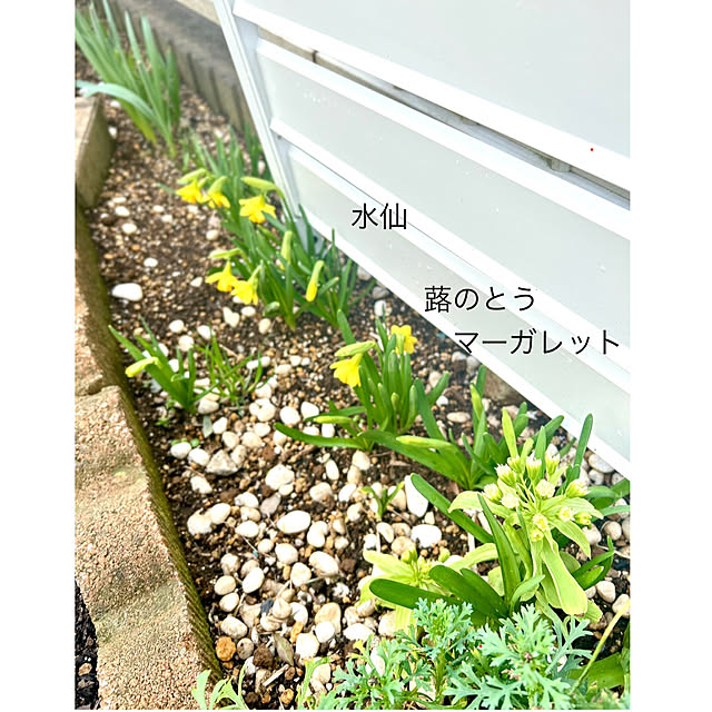 kittyさんの部屋