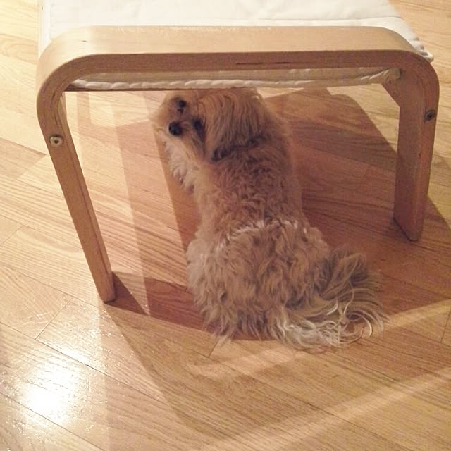 Eiさんの実例写真