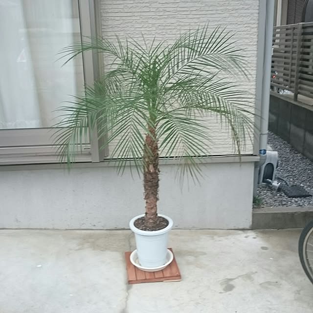 hideさんの実例写真