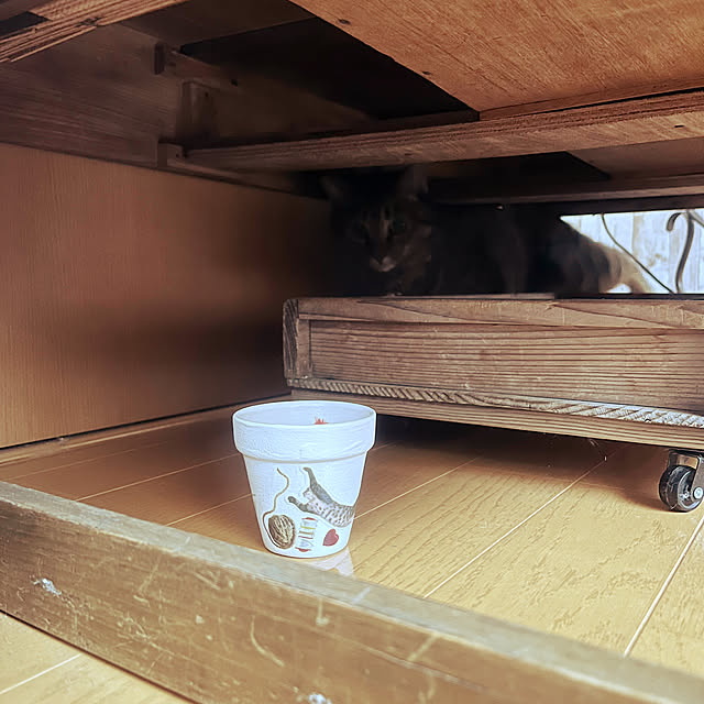 Mさんの実例写真