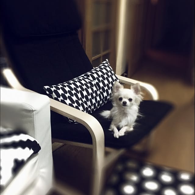 honeyさんの実例写真