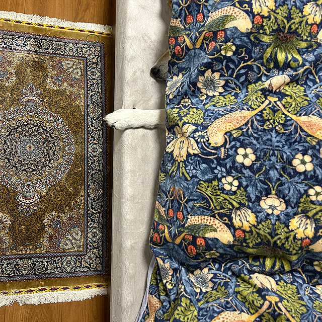 asahibaさんの実例写真