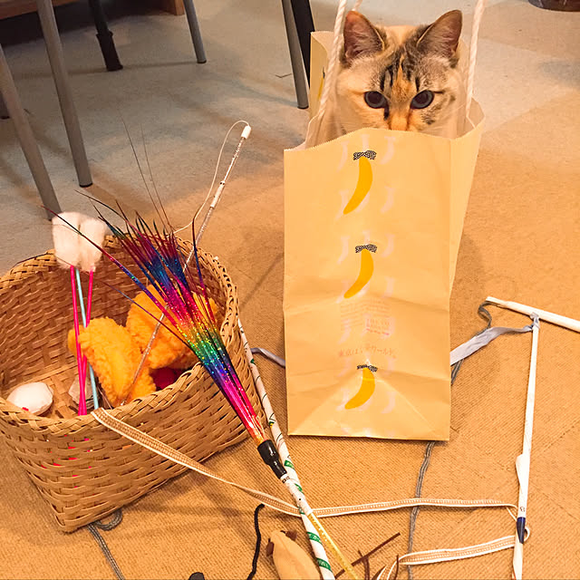 nanaさんの実例写真